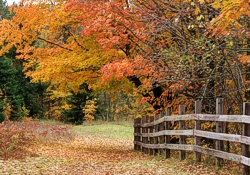 Michigan Fall Color Tours