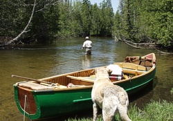 Blue Ribbon Trout Streams