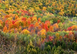 Michigan Fall Color Tours The Jordan Valley