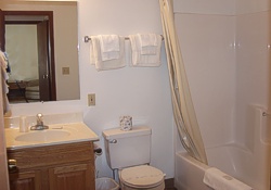Vacation rental homes in Indian River Michigan